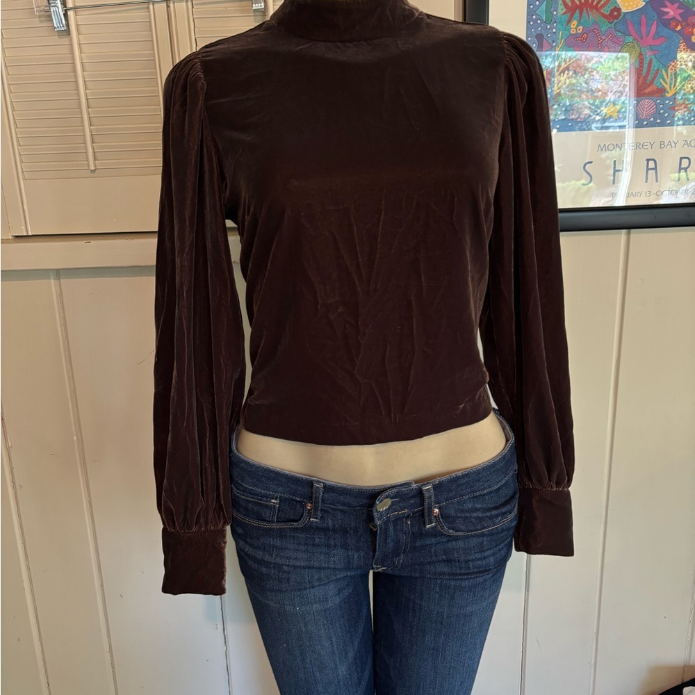 Banana Republic Chocolate Velvet Blouse